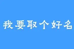 我要取个好名