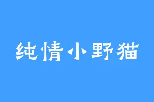 纯情小野猫