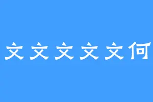 文文文文文何