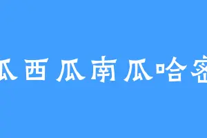 冬瓜西瓜南瓜哈密瓜