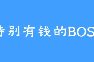 特别有钱的BOSS