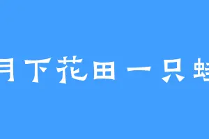 月下花田一只蛙