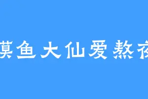 摸鱼大仙爱熬夜