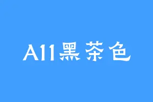 A11黑茶色