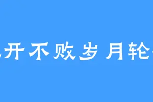 花开不败岁月轮替