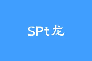 SPt龙
