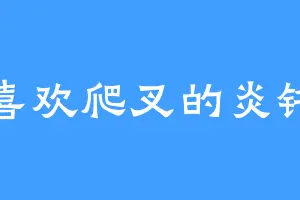 喜欢爬叉的炎铭