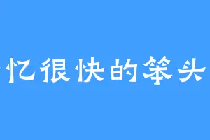 失忆很快的笨头鱼