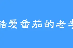 酷爱番茄的老李