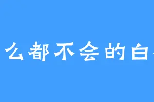 什么都不会的白板