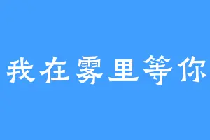 我在雾里等你