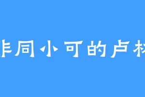 非同小可的卢林