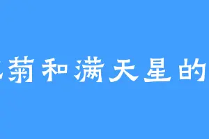 雏菊和满天星的爱