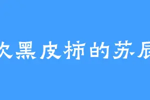 喜欢黑皮柿的苏辰凝